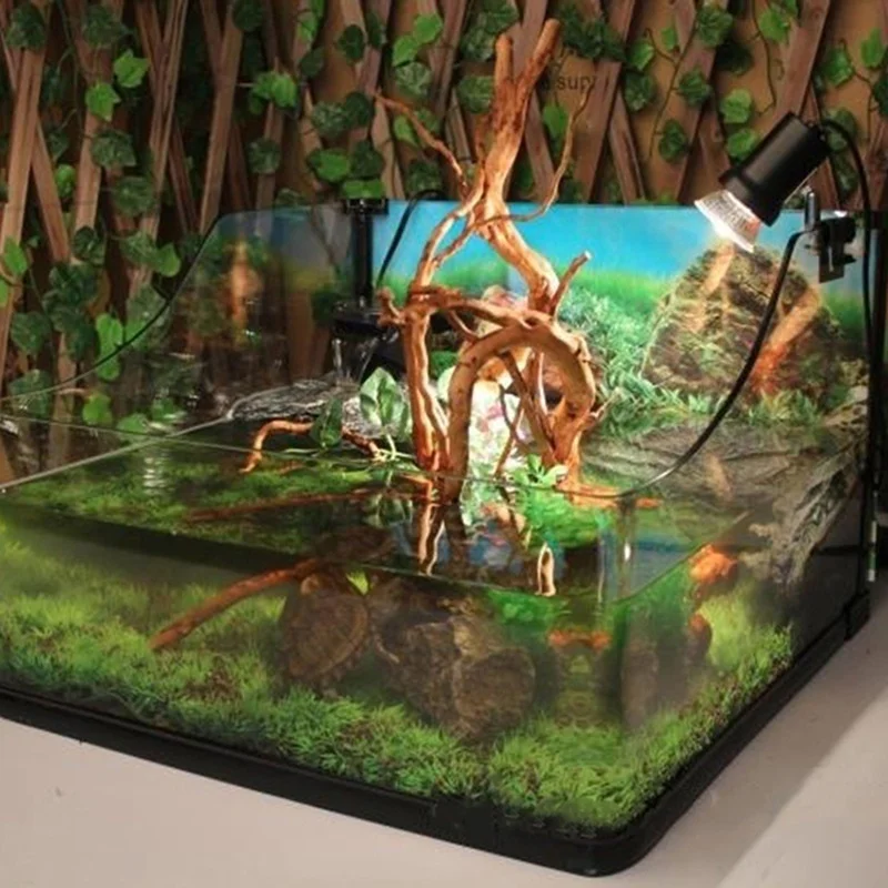 Planted Aquarium Making - Natural Tree Trunk Driftwood Aquarium Fish