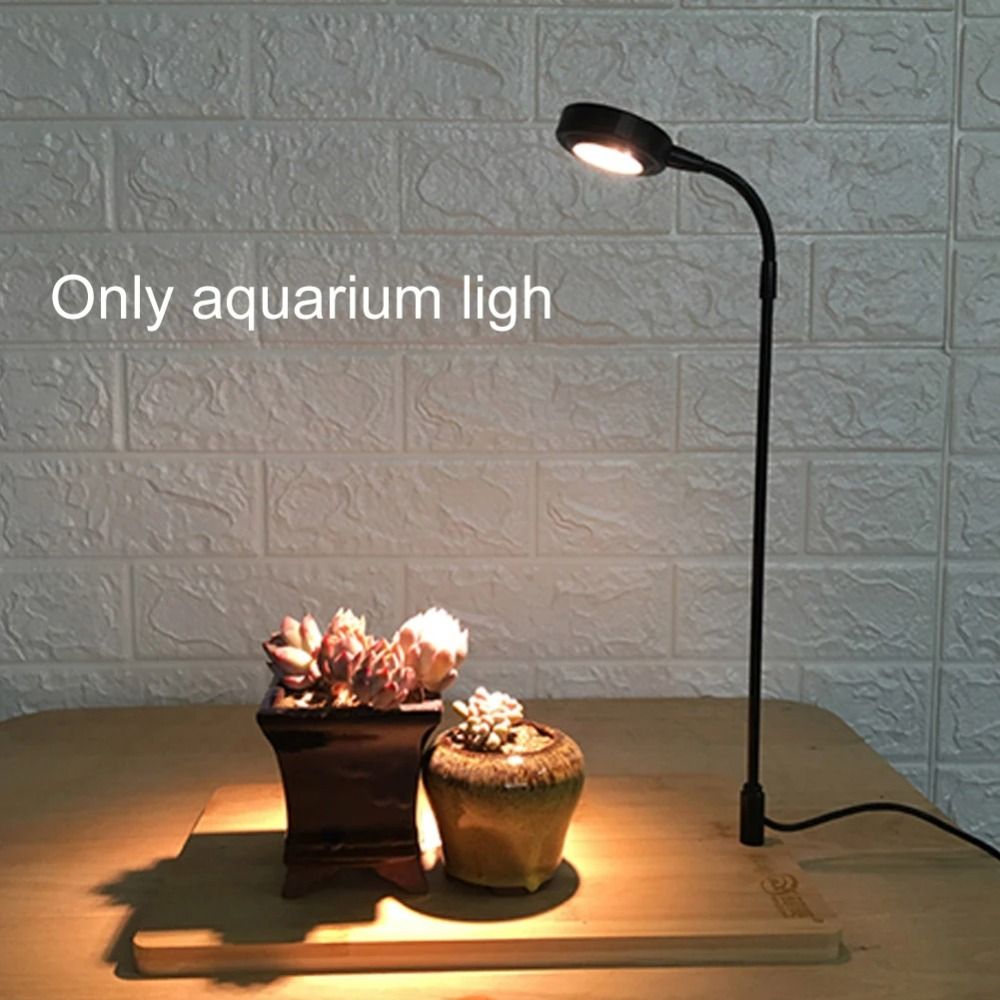 10W Aquarium Plant Fill Lamp w - Aquarium Plant On Wood recension och pris