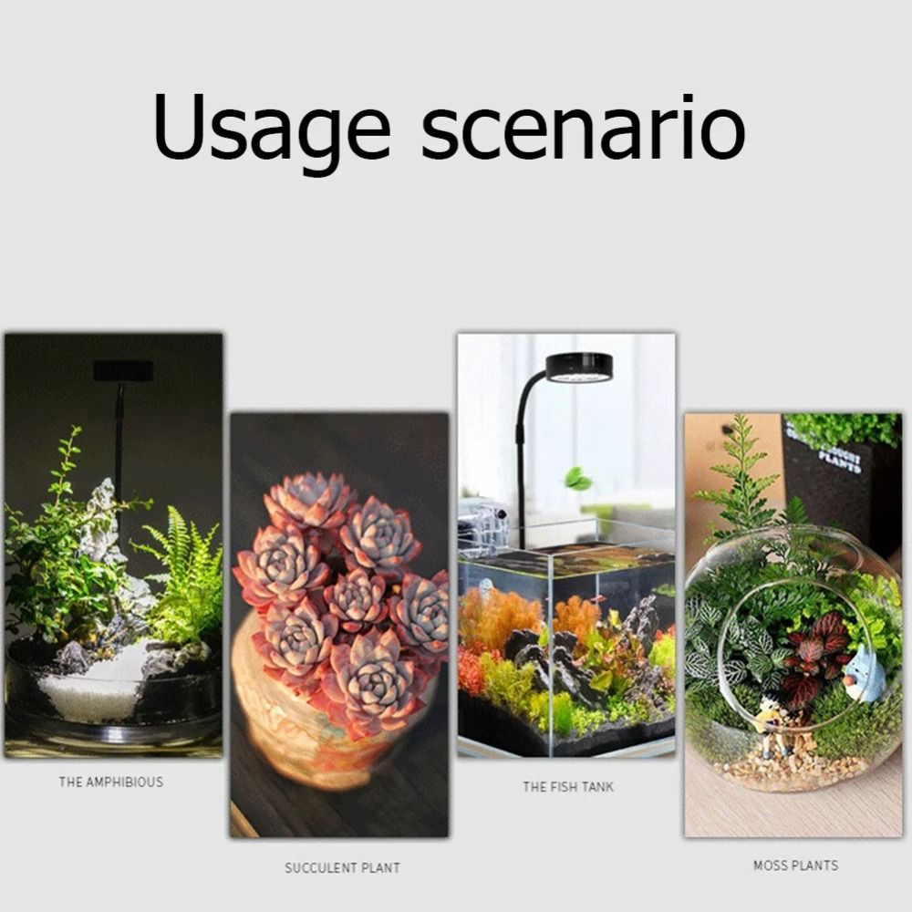 10W Aquarium Plant Fill Lamp w - Aquarium Plant On Wood recension och pris