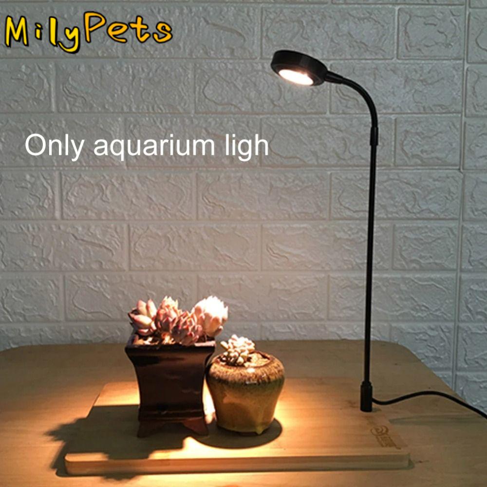 10W Aquarium Plant Fill Lamp w - Aquarium Plant On Wood recension och pris