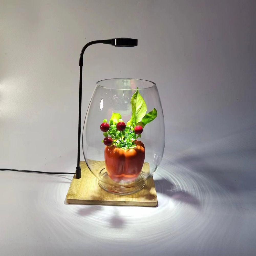 10W Aquarium Plant Fill Lamp w - Aquarium Plant On Wood recension och pris