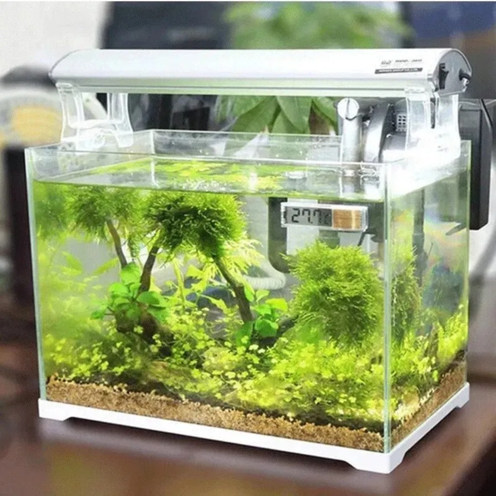 1PC Aquarium Thermometer Elect - Planted Aquarium Temperature recension och pris