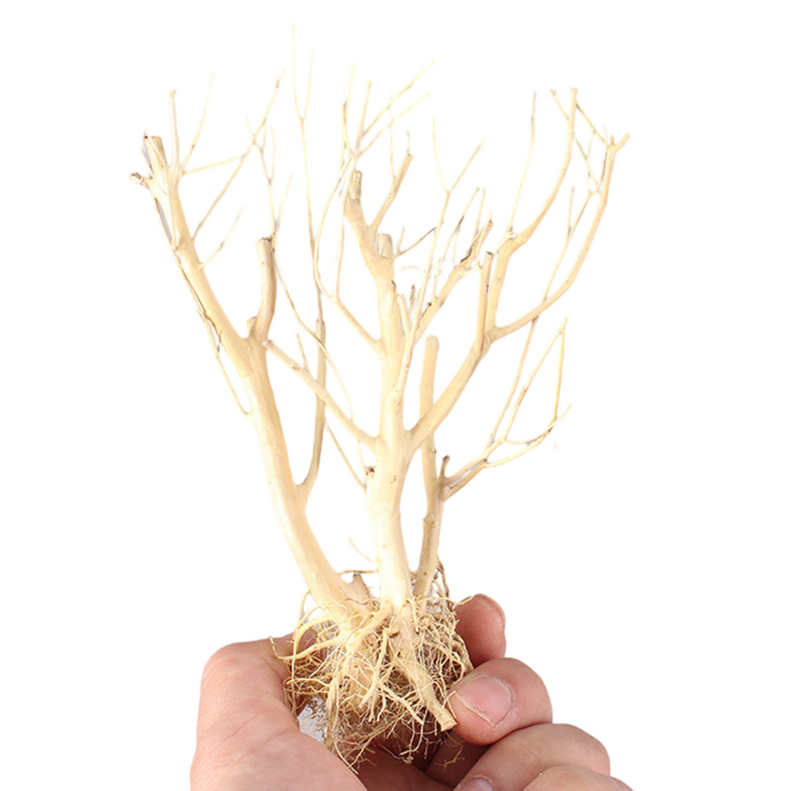 New DIY Driftwood Aquarium Mos - Aquarium Plant On Wood recension och pris