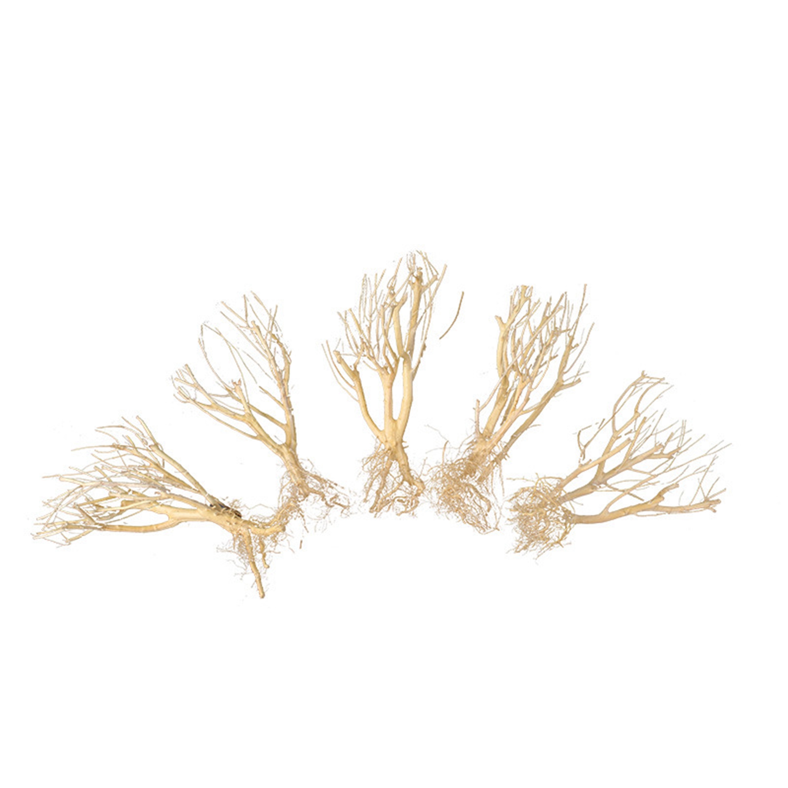 New DIY Driftwood Aquarium Mos - Aquarium Plant On Wood recension och pris