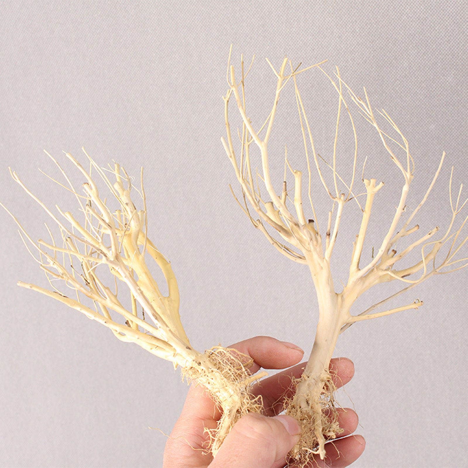 New DIY Driftwood Aquarium Mos - Aquarium Plant On Wood recension och pris
