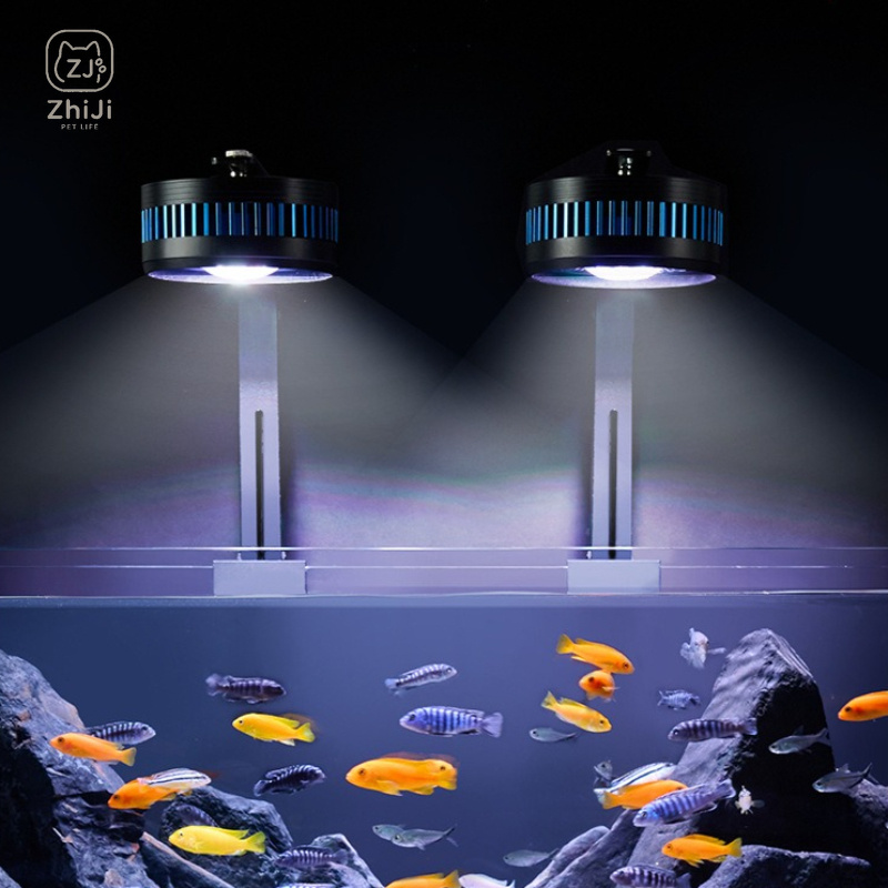 Fish Tank Downlight Led Full S - Aquarium Plant On Wood recension och pris