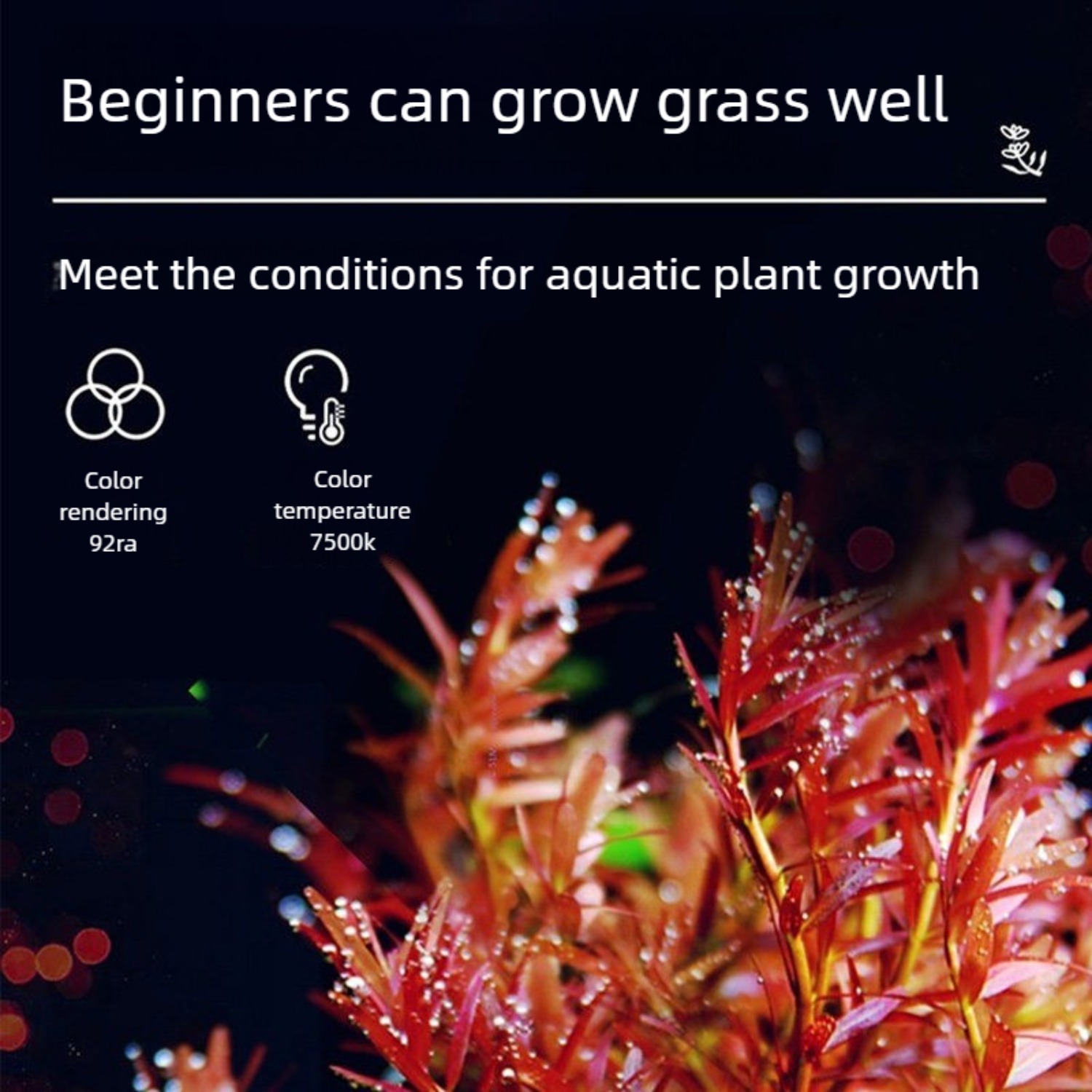 LED Aquarium Light for 12 Inch - Planted Aquarium Freshwater recension och pris