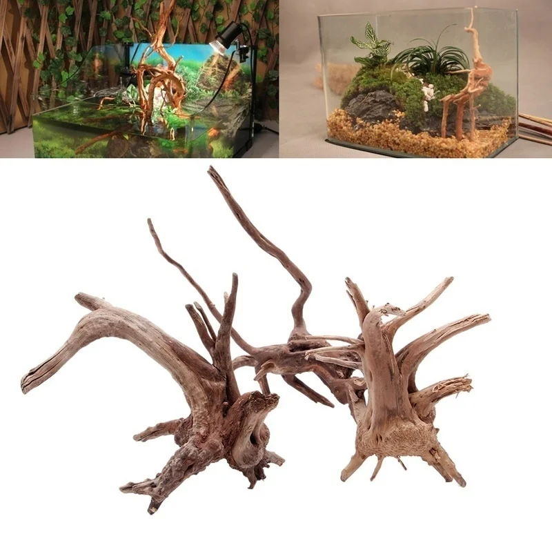 Natural Tree Trunk Driftwood A - Planted Aquarium Making recension och pris