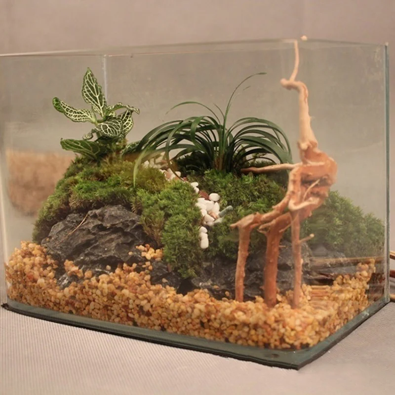 Natural Tree Trunk Driftwood A - Planted Aquarium Making recension och pris